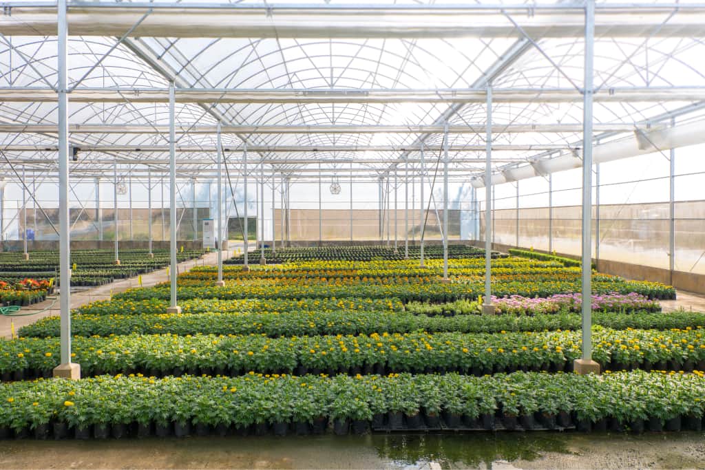 How to Choose an Agricultural Curtain System for Your Livestock or Greenhouse Operation