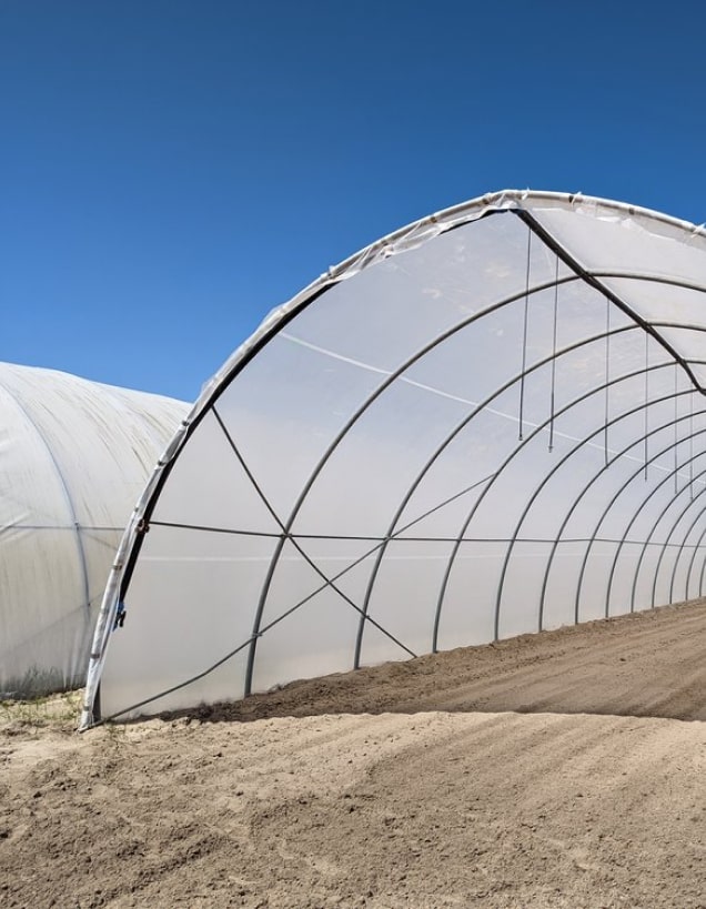 Renegade Reduces Headaches for Cultiva