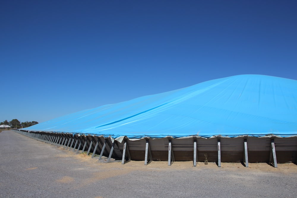 Post-Harvest Processing & Storage