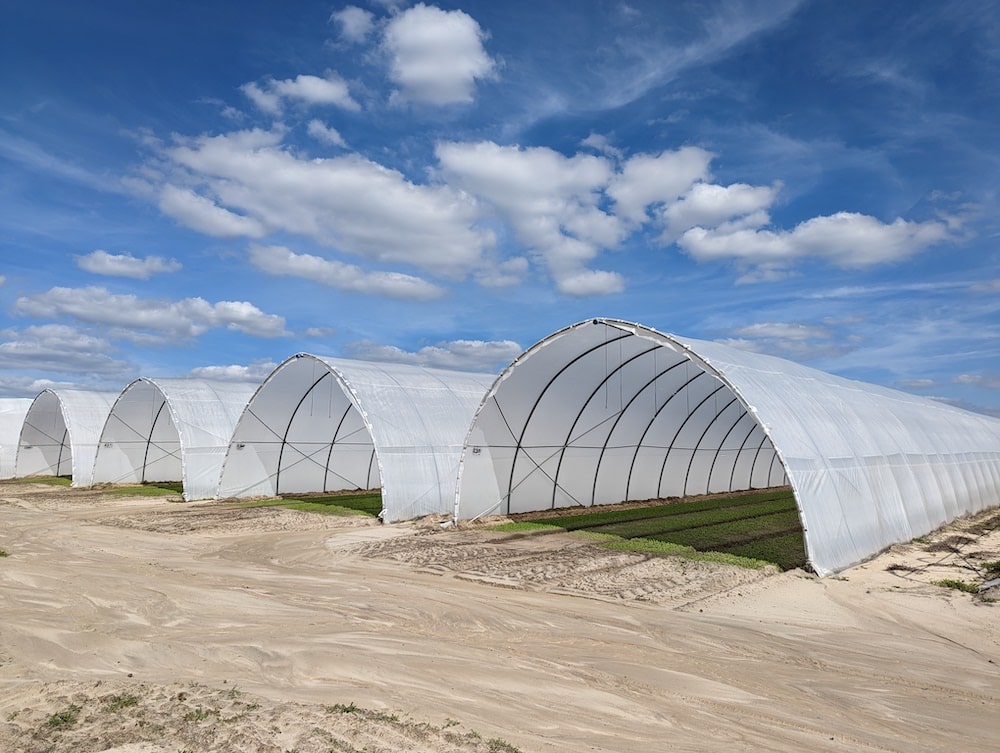 Grow Structures