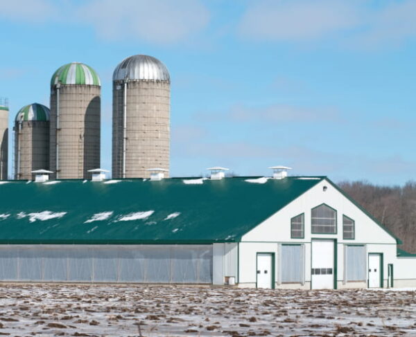 Barn_Curtains