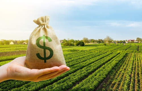 Colorado’s Innovative Agri-based Startups Revolutionizing US Agriculture Industry