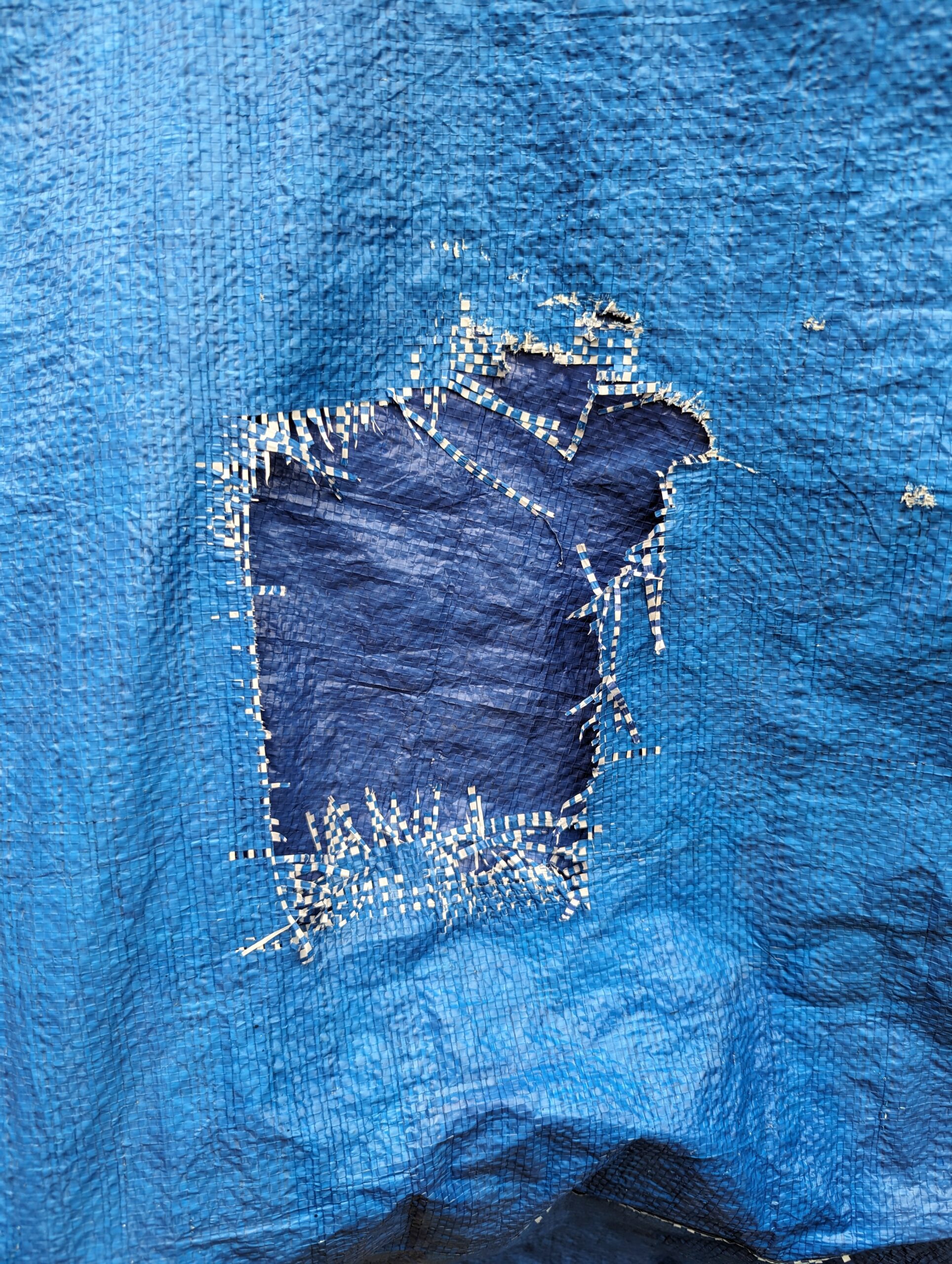 Why Buy a Blue Tarp? Are There Other Superior Options?